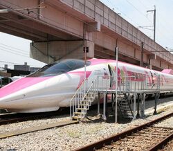 Viagem de sonho para os fãs de Hello Kitty 