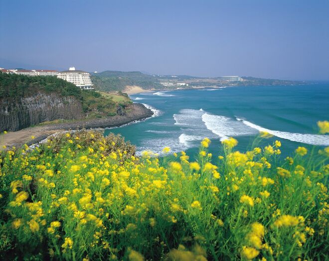 Ilha Jeju, Coreia do Sul: o destino turístico a 90 km de distância do continente, com paisagens vulcânicas, cascatas e um parque de diversões erótico, recebeu, no ano passado, cerca de 15 milhões de turistas. Uma pequena multidão para uma área de apenas 2 mil quilómetros quadrados.