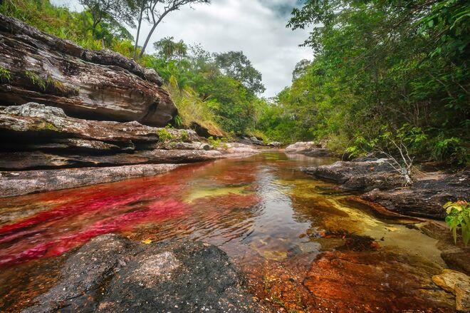 Caño Cristales, Colômbia: depois do acordo de paz selado em 2016 com os guerrilheiros das Farc, os visitantes começaram a frequentar a pequena região de Macarena para ver de perto o rio que parece correr refletindo um espectro inteiro de cores. Só os cerca de 16 mil turistas por ano já afetam o ecossistema extremamente delicado.