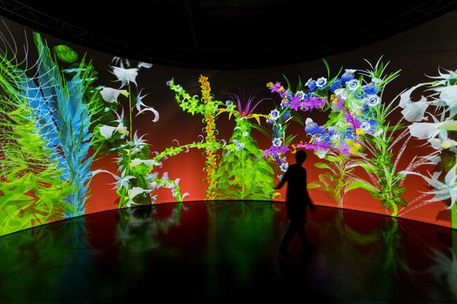 Extra-Natural, de Miguel Chevalier, 2018. Exposição Artists and Robots no Grand Palais, em Paris.