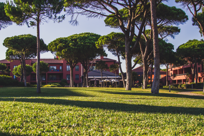 Provar o novo brunch inspirado nos Santos Populares