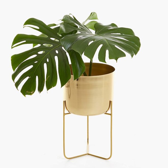 Suporte para plantas ferro dourado, €59,99, Zara Home