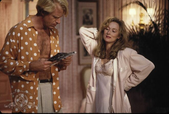 Meryl Streep e Ed Begley Jr. em Demónio de Saias (1989)