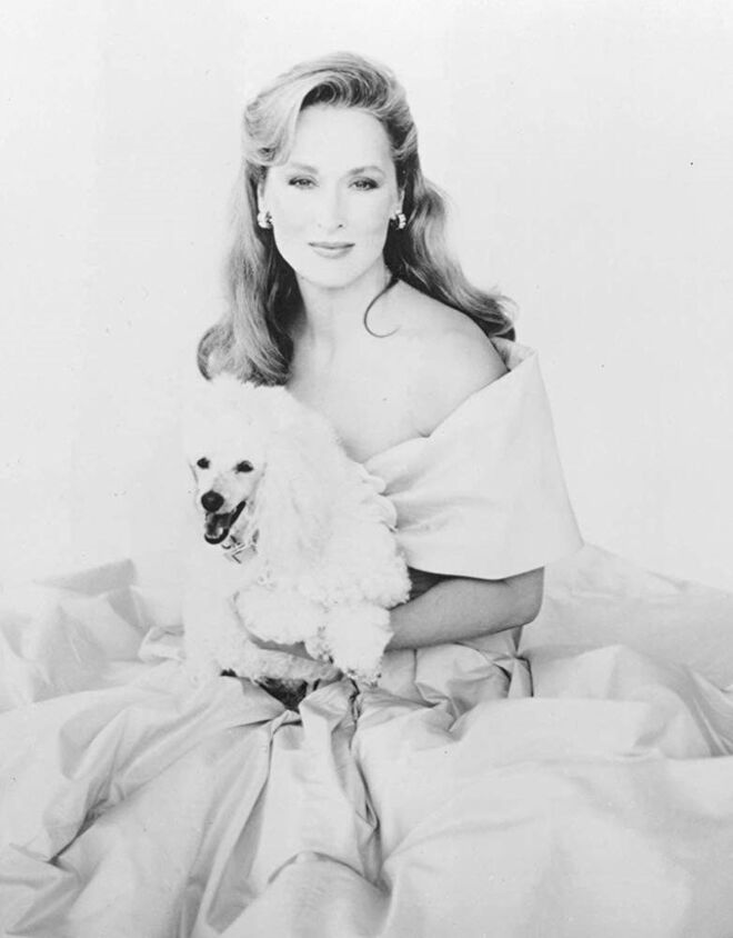 Meryl Streep em Demónio de Saias (1989)