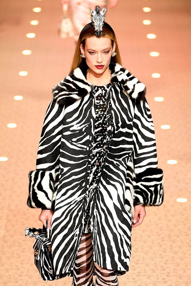 Animal print | Dolce & Gabbana 