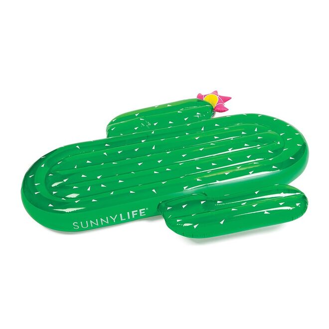 Cacto, €58, em amara.com 