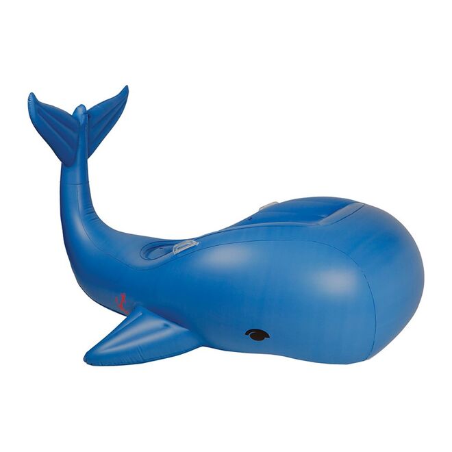 Baleia, €109,50, Capitão Lisboa 