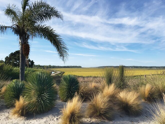 Comporta Bliss (Assouline)