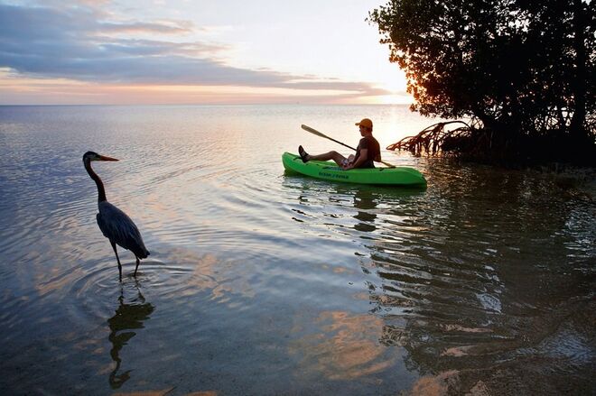 NYT Explorer. Beaches, Islands & Coasts (Taschen)
