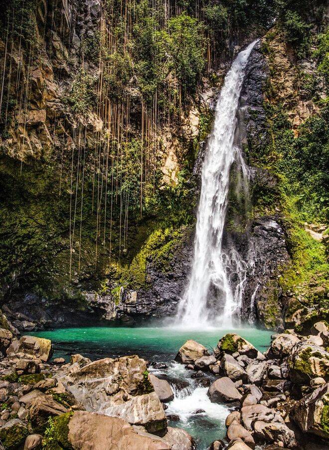 NYT Explorer. Beaches, Islands & Coasts (Taschen)