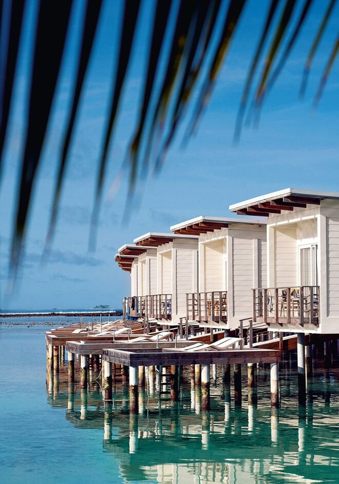 NYT Explorer. Beaches, Islands & Coasts (Taschen)