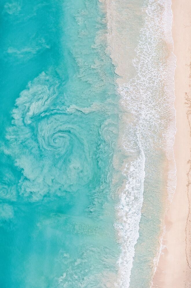 Escapes (Abrams Books)