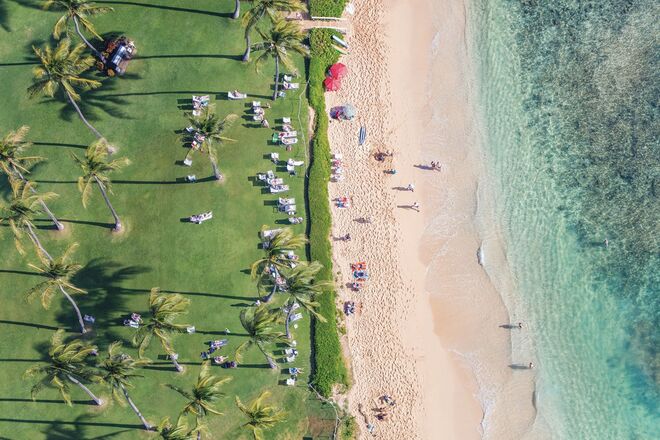 Escapes (Abrams Books)