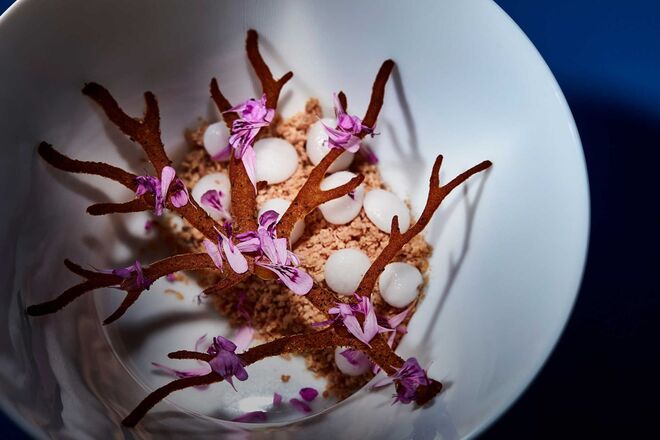 Ocean, Armação de Pêra