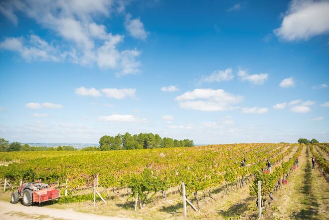 Quinta da Teixuga no Dão