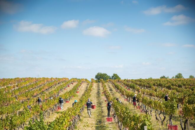 Quinta da Teixuga no Dão