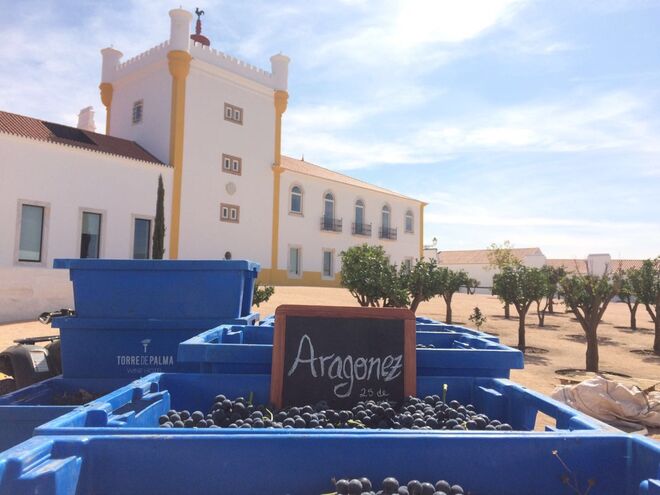 Torre de Palma no Alentejo