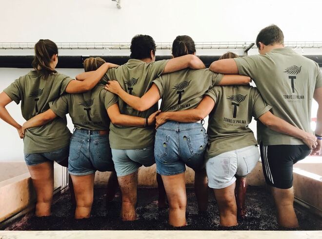 Torre de Palma no Alentejo