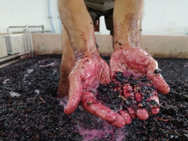 Torre de Palma no Alentejo