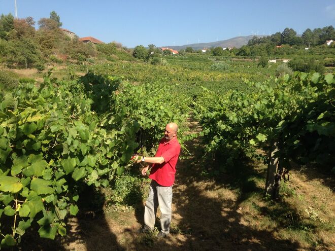 Valados de Melgaço em Alvaredo
