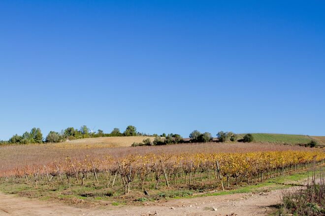Quinta da Boa Esperança em Torres Vedras