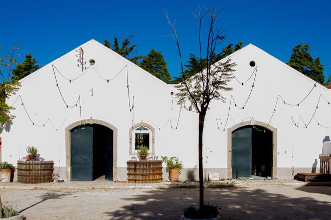 Quinta da Boa Esperança em Torres Vedras