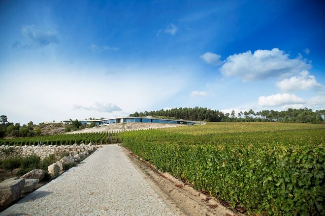 Quinta de Lemos em Viseu