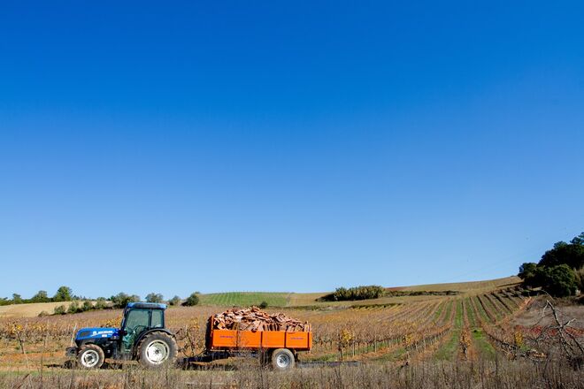 Quinta da Boa Esperança em Torres Vedras
