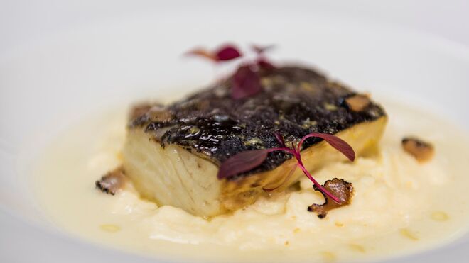Lombo de bacalhau com molho de prosecco, trufas negras e polenta cremosa