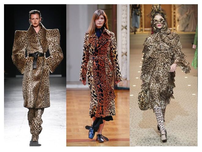 A - ANIMAL (Gareth Pugh; Victoria Beckham; Dolce & Gabbana)