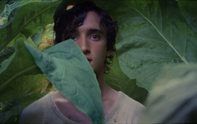 Lazzaro Felice, o novo filme da italiana Alice Rohrwacher, conta, através de tempos paralelos e eras distintas, a história de Lazzaro (Adriano Tardiolo). 