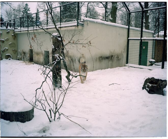 Fotografia de André Prícnipe, em exibição na exposição Elefante, na Central Tejo.