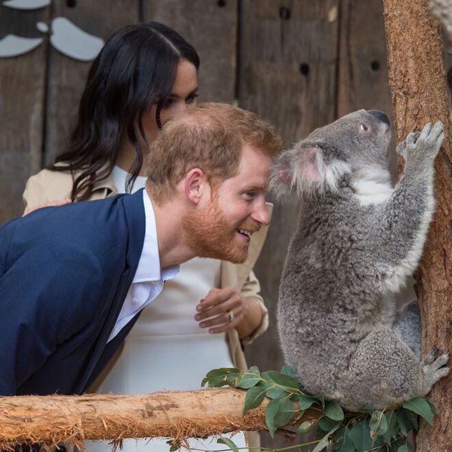 Meghan Markle e Príncipe Harry no Jardim Zoológico de Taronga;
