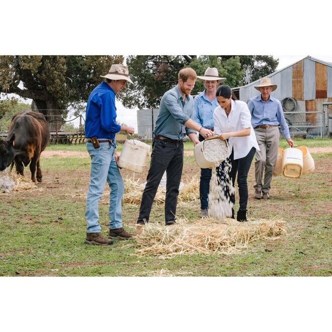 O Duque e a Duquesa de Sussex, com a família Woodley, na Mountain View Farm;