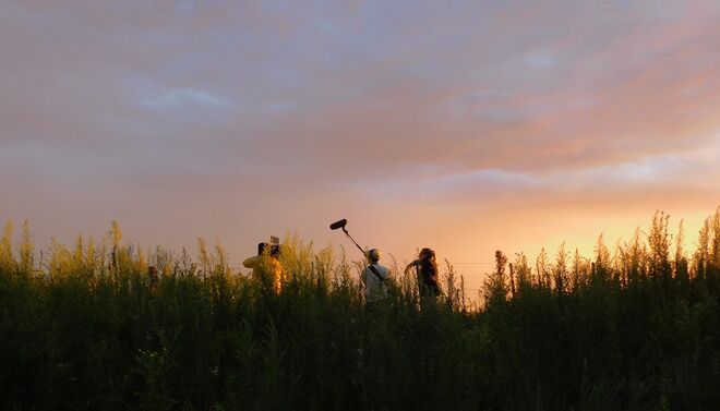 "Miró. Traces of Oblivion" de Franca González