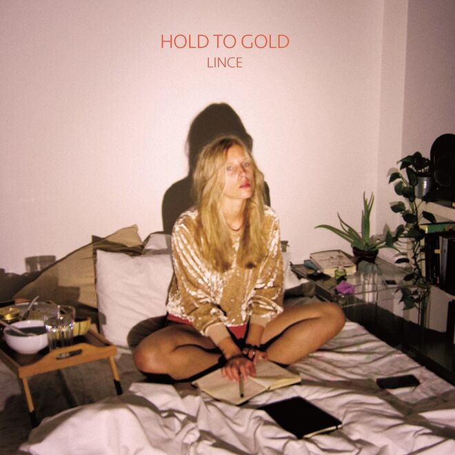 Capa do disco "Hold To Gold"