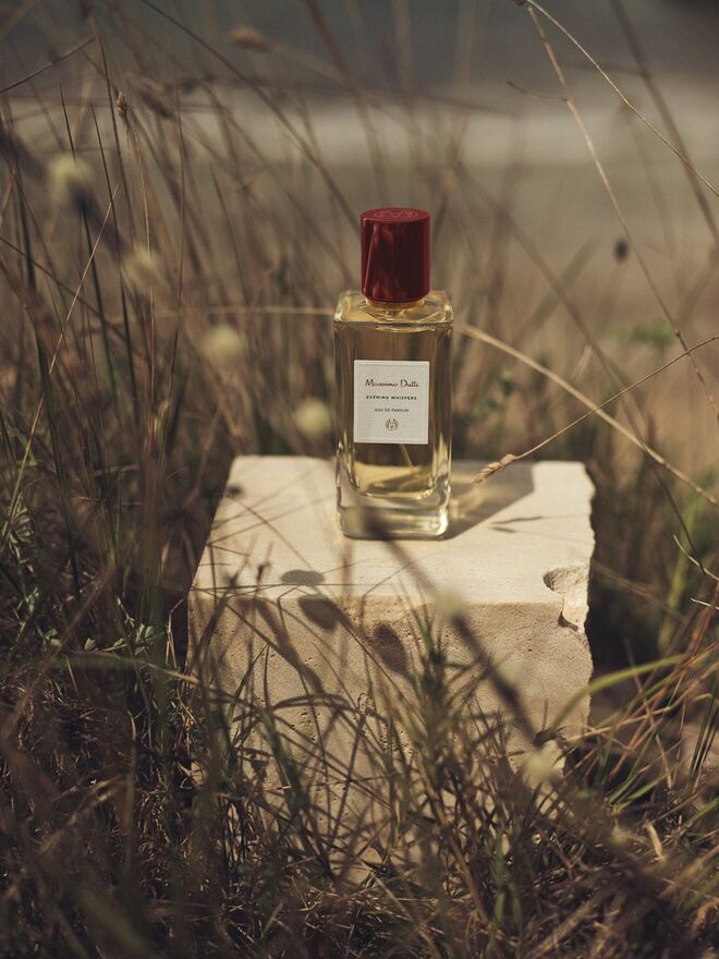 Para ela: Evening Whispers
Trata-se de um aroma envolvente com uma alquimia excepcional estruturada em torno de notas carismáticas que deixam um rasto vibrante e fresco que se impõe instantaneamente. O seu aroma vai de intenso a moderado, enquanto a sua fixação é prolongada.