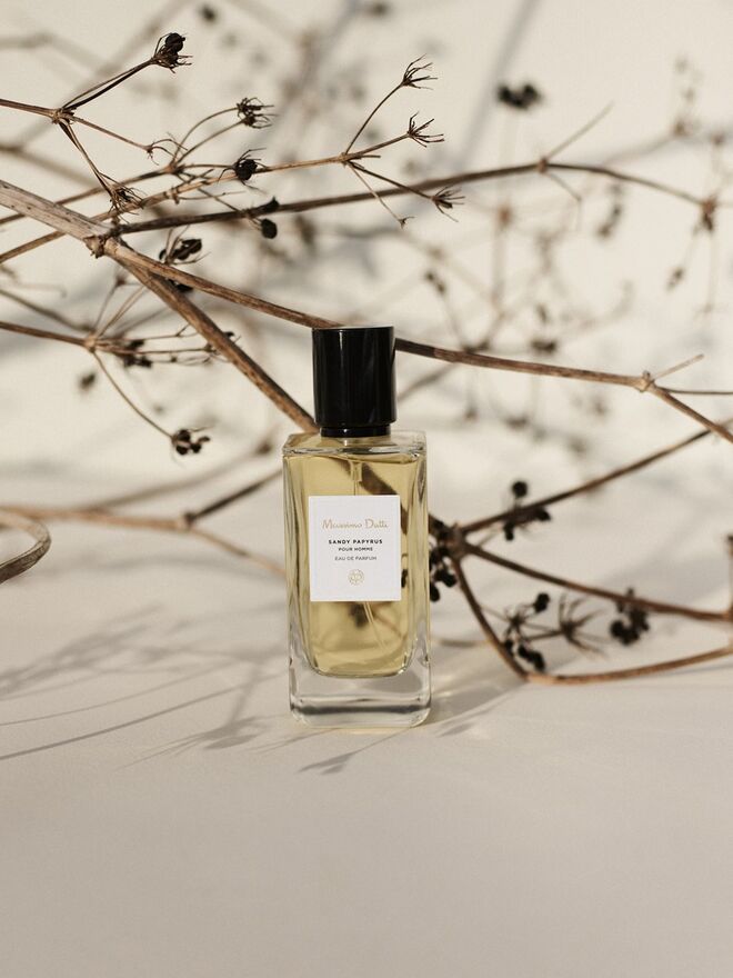 Para ele: Sandy Papyros
Um perfume fascinante que revela a parte sedutora e um tanto misteriosa que há dentro de cada pessoa. Uma explosão fresca de citrinos, combinada com notas florais e um fundo exótico, são as características deste perfume altamente sedutor.