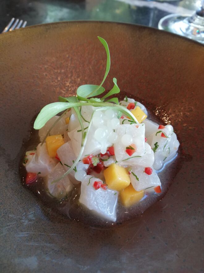 Ceviche de corvina com cubos de manga e brotos de coentro