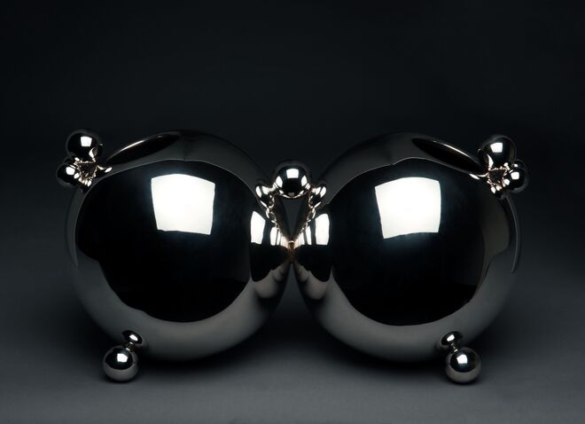 Isabel Lopes da Silva;