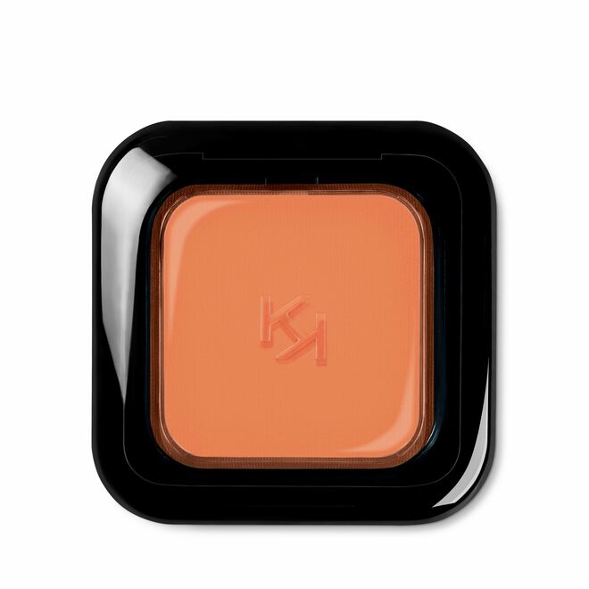 High Pigment Wet and Dry Eyeshadow 21, €5,95, Kiko Milano