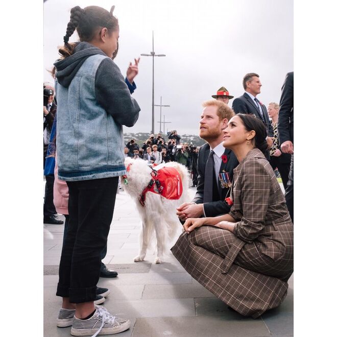 Receção aos Duques na Nova Zelândia;