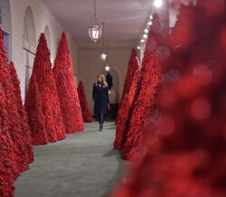 As decorações de Natal da Casa Branca voltam a gerar polémica  