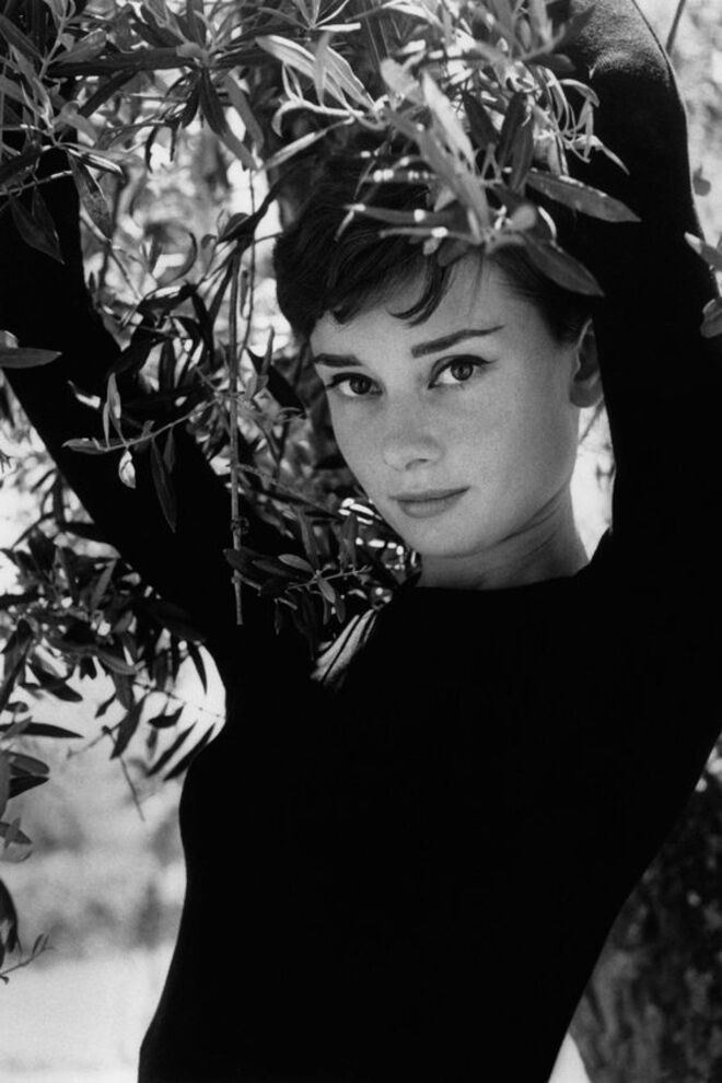 Touro (21 de abril - 20 de maio)
Apegados aos bens materiais. Para além de serem extremamente românticos, os nativos deste signo apegam-se com a mesma facilidade aos bens materiais. Gostam de apreciar as coisas boas da vida, mas nem sempre as sabem partilhar com os outros. A sua personalidade forte, uma das suas maiores qualidades, têm nesta uma das suas maiores falhas.