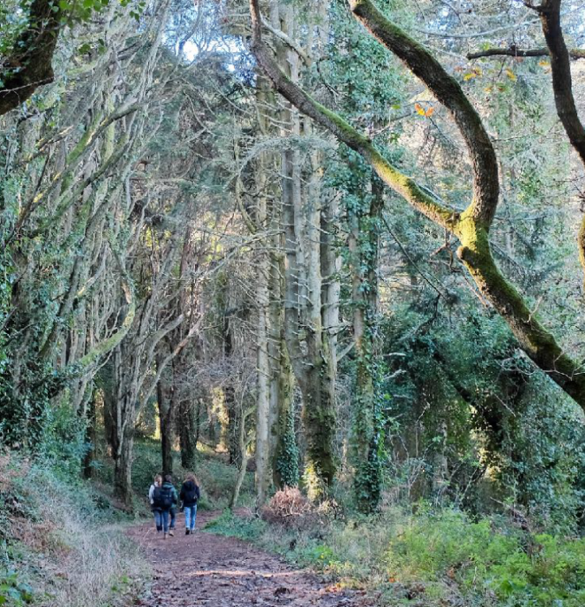 Realizar o programa Slow Day