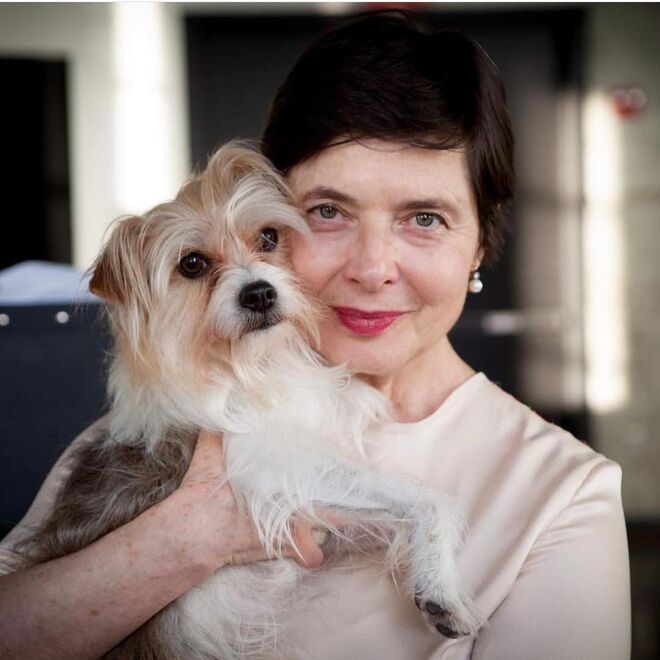Isabella Rossellini, atriz, 67 anos | @isabellarossellini