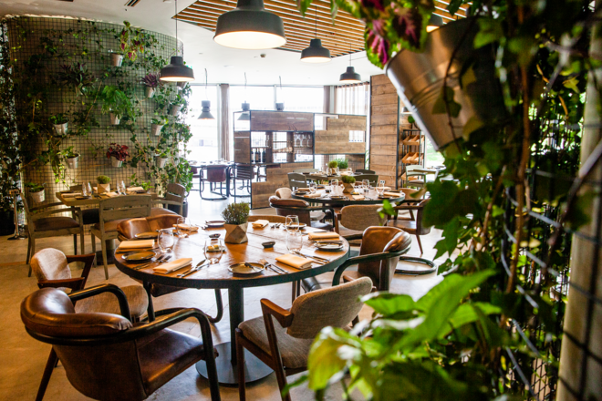 Sala Turno 3 e Mesa Privada