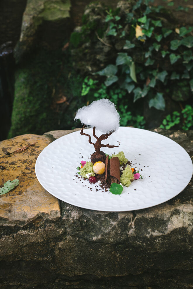 A floresta doce é feita de chocolate, pistáchio e algodão doce