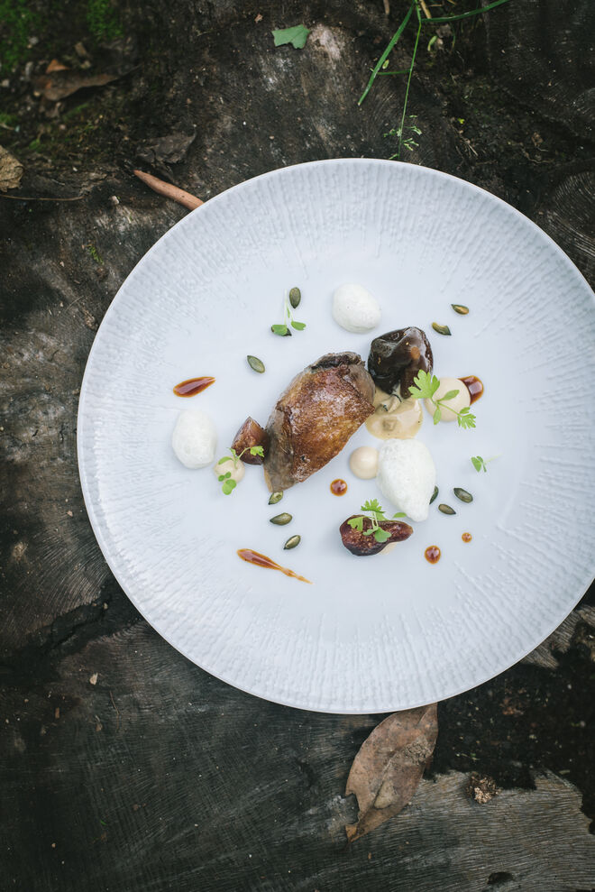 Pombo com puré de maçã, emulsão de baunilha,  redução de vinho da Madeira e figo em conserva