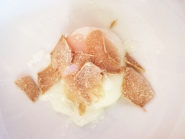 Ovo biológico cozido a baixa temperatura (64º) sob lascas de trufa branca